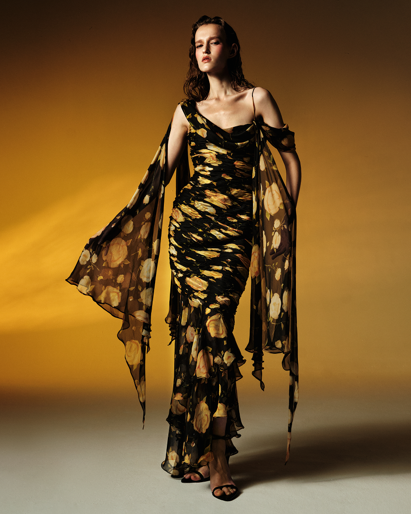 Printed silk chiffon maxi dress – Rasario