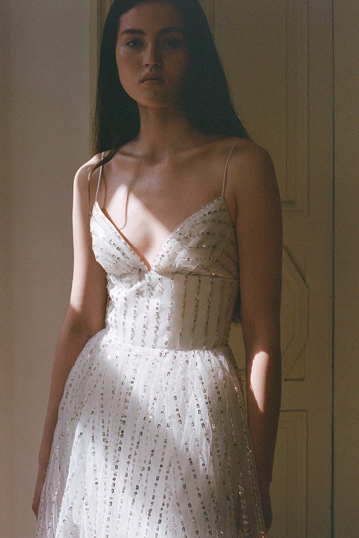 Sequin mesh maxi dress – Rasario
