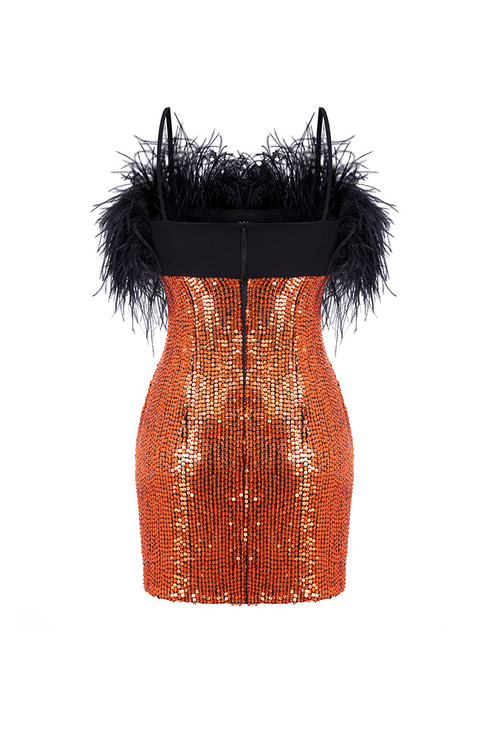 Fringe sequined mini dress – Rasario