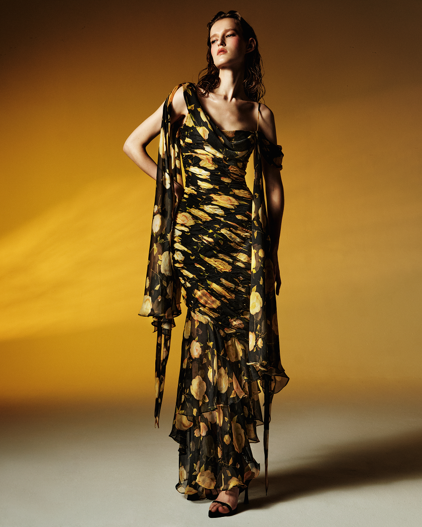 Printed silk chiffon maxi dress – Rasario