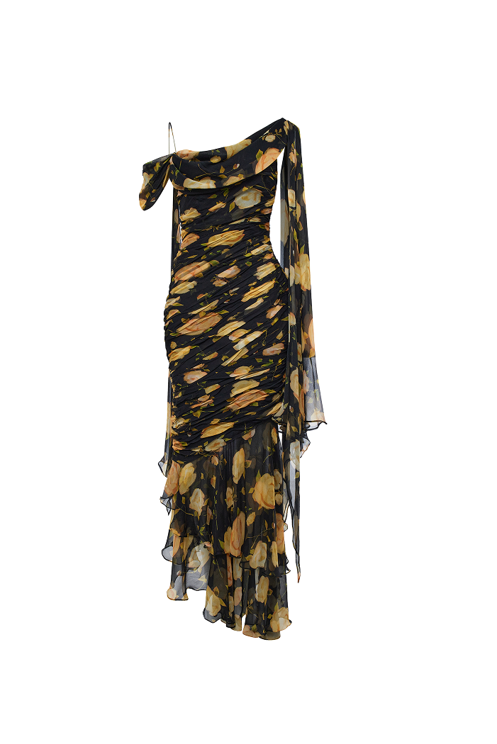 Printed silk chiffon maxi dress – Rasario