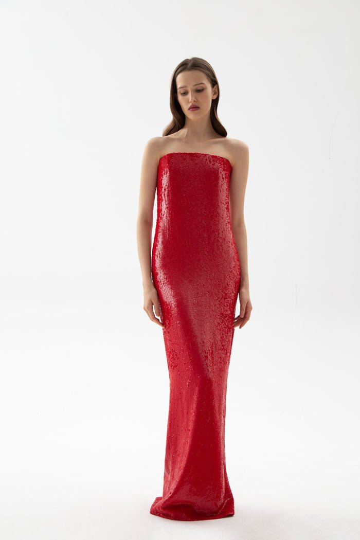 Sequined corset maxi dress – Rasario